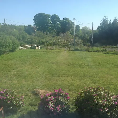 Donegal