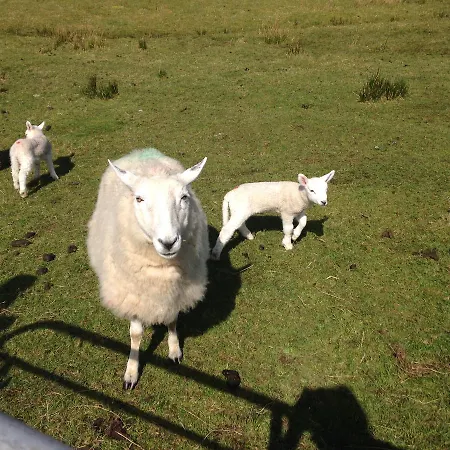 Donegal Bed & Breakfast 3*